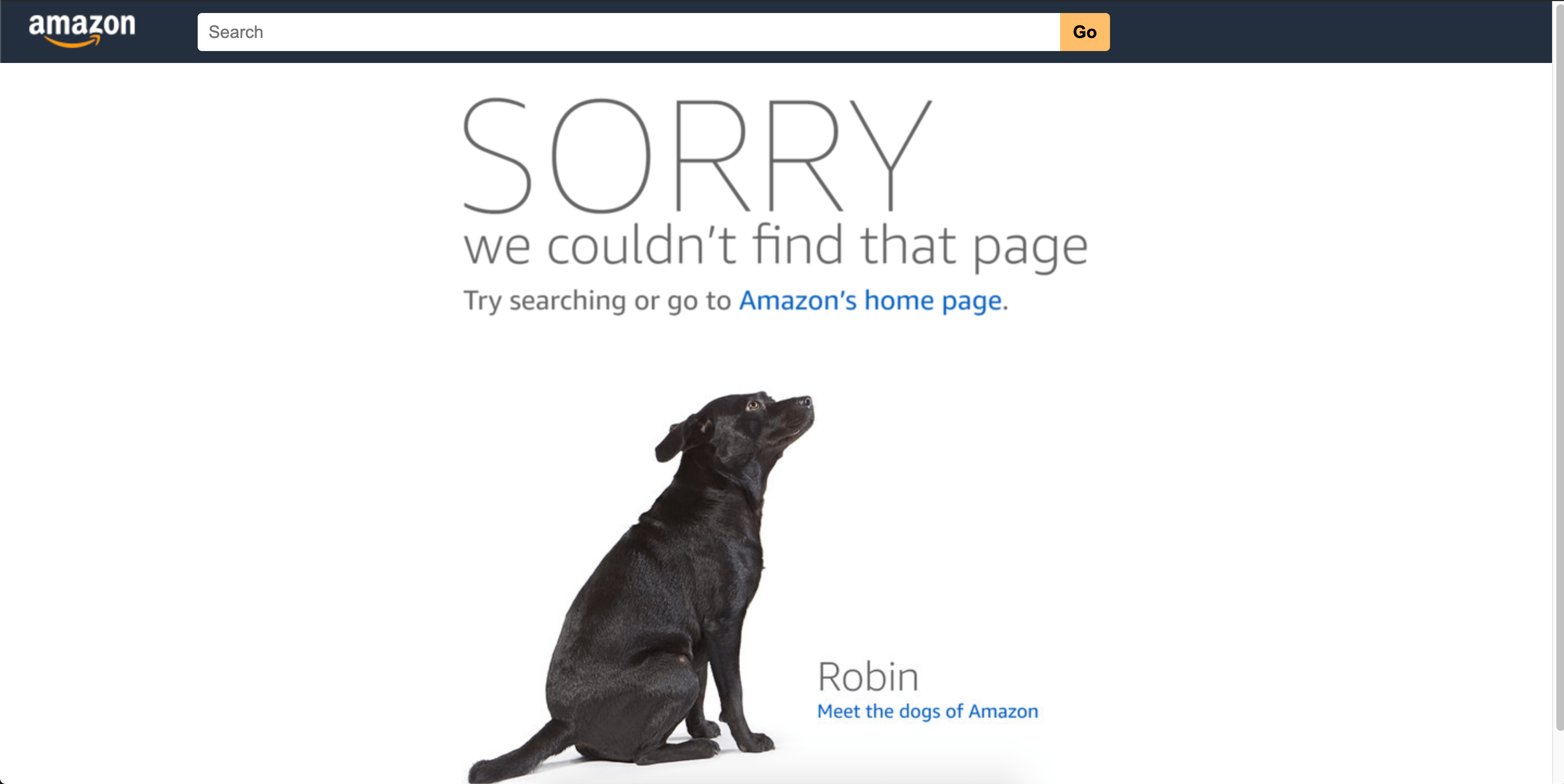 21+ best 404 error page examples (+ mustknow best practices) IMPACT