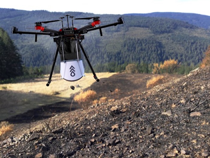 These drones will plant 40,000 trees in a month. By 2028, they’ll have