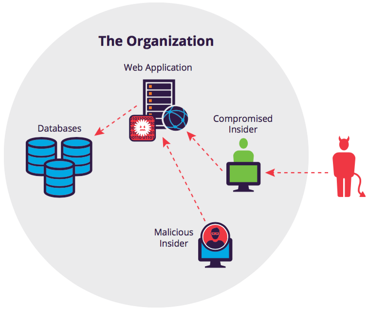 What are the types of database organization Explain