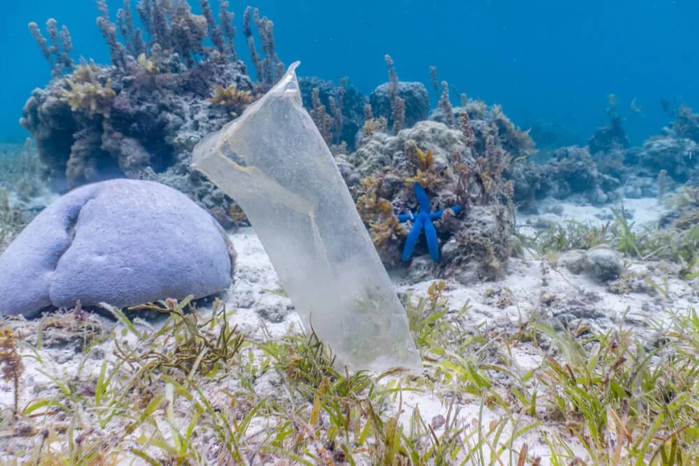 Could Technology Be the Answer to Saving Our Oceans from Plastic Pollution?