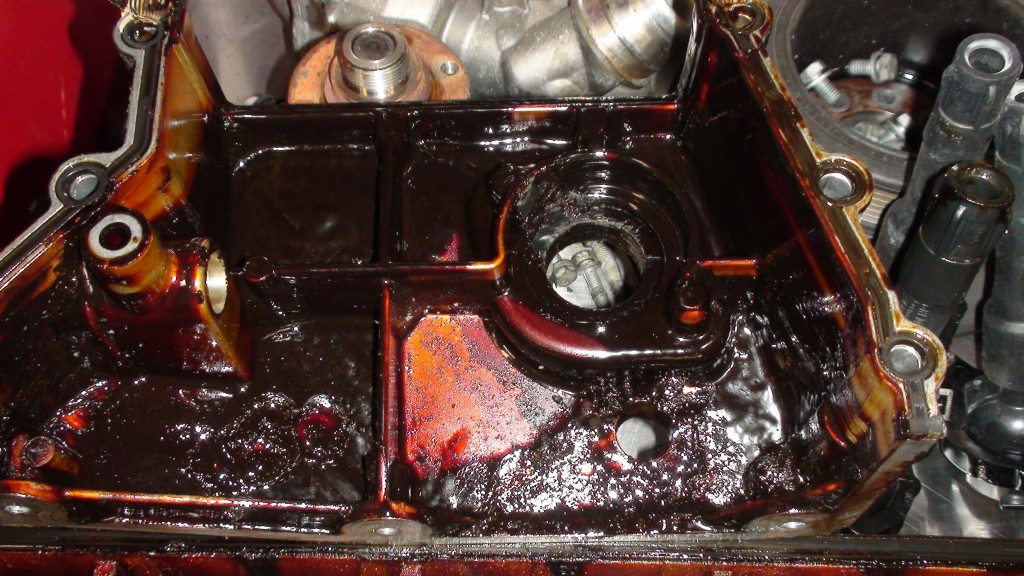 Oil Change Import Master