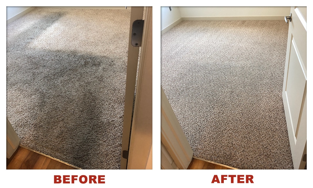 Before and After Gallery Impression Carpet Cleaning and Repair