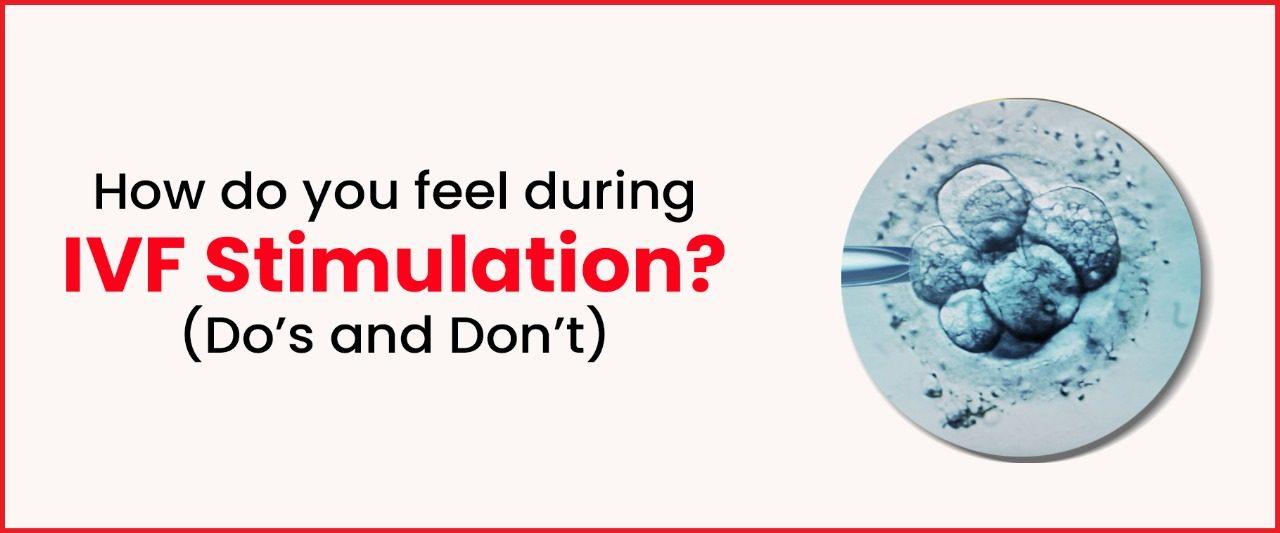 Heating Pad During Ivf Stimulation at Harold Bloomer blog