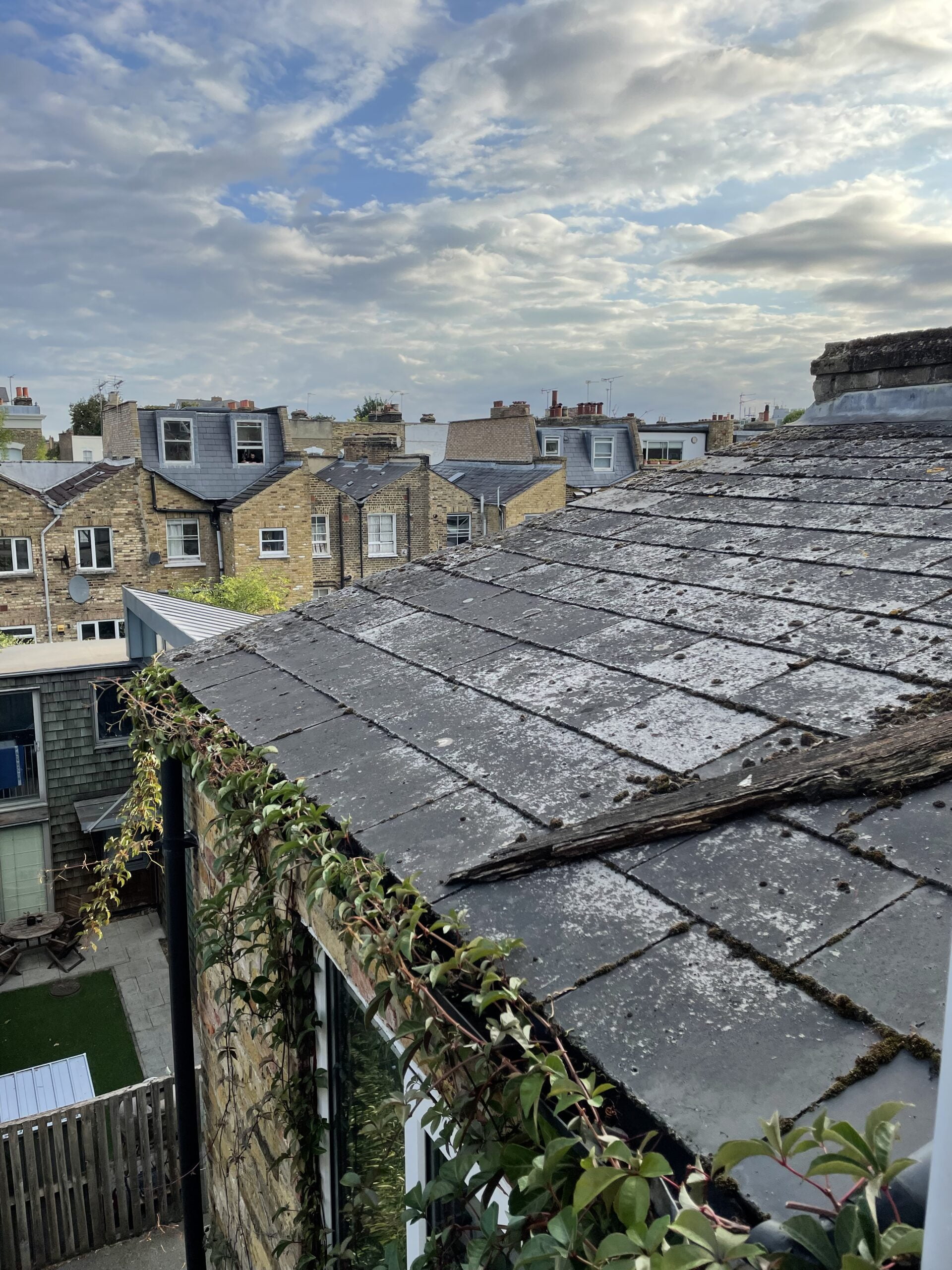 Can a neighbour’s plants damage your roof? Improve a Roof