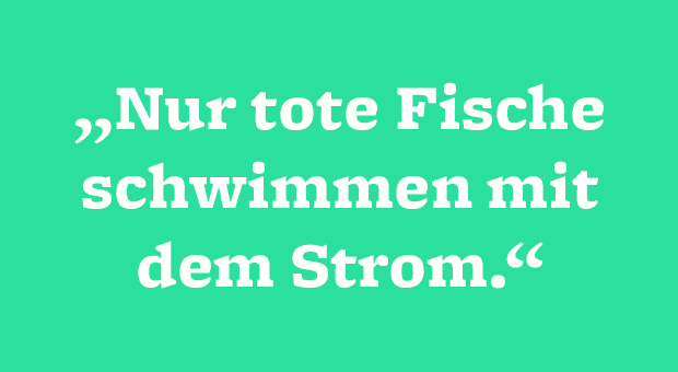 Probleme Überwinden: Die Besten Zitate Für Mehr Durchhaltevermögen | Impulse 340_x_620_png