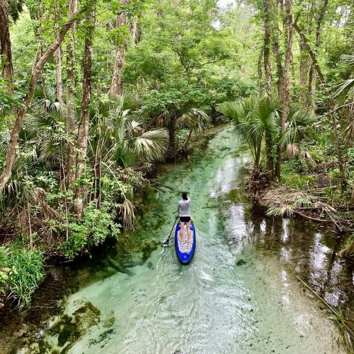 Kayaking From King's Landing impulse4adventure Florida Adventures