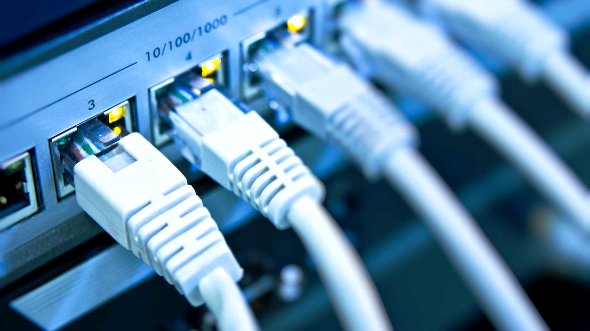 Empresa que provee mayorista congela sus precios