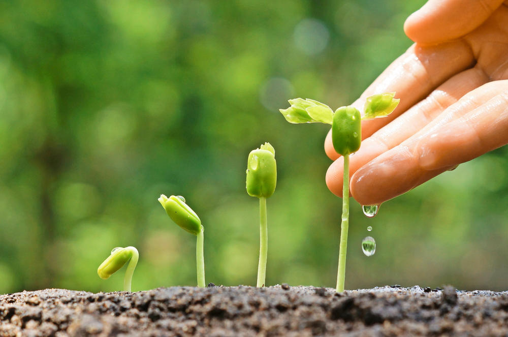 Lead Nurturing your first steps toward an effective strategy