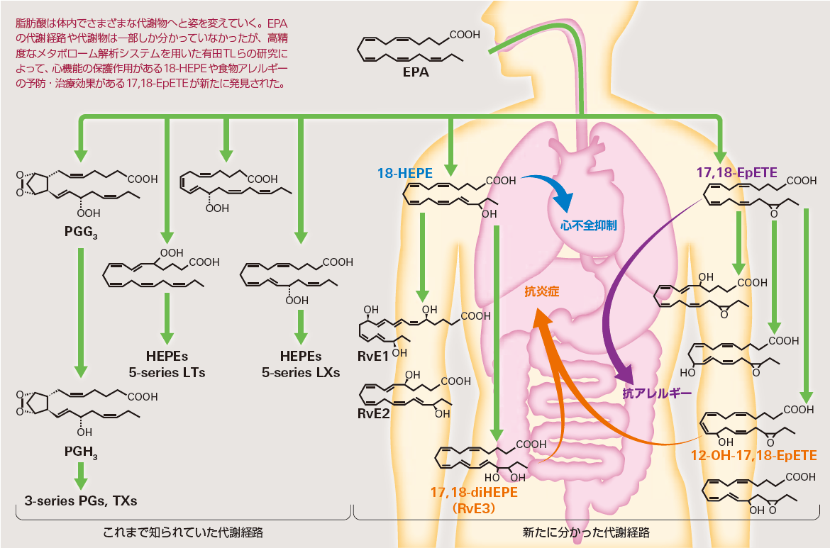 研究室紹介 理化学研究所 生命医科学研究センター（IMS）