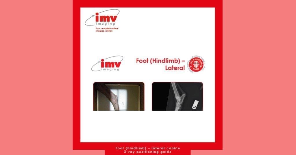 Foot (hindlimb) Lateral canine xray positioning IMV