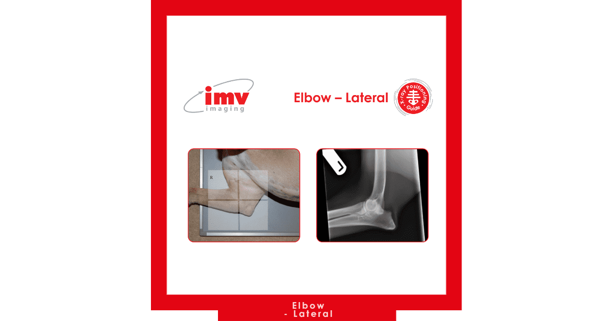 Elbow Lateral Canine Veterinary xray IMV Imaging