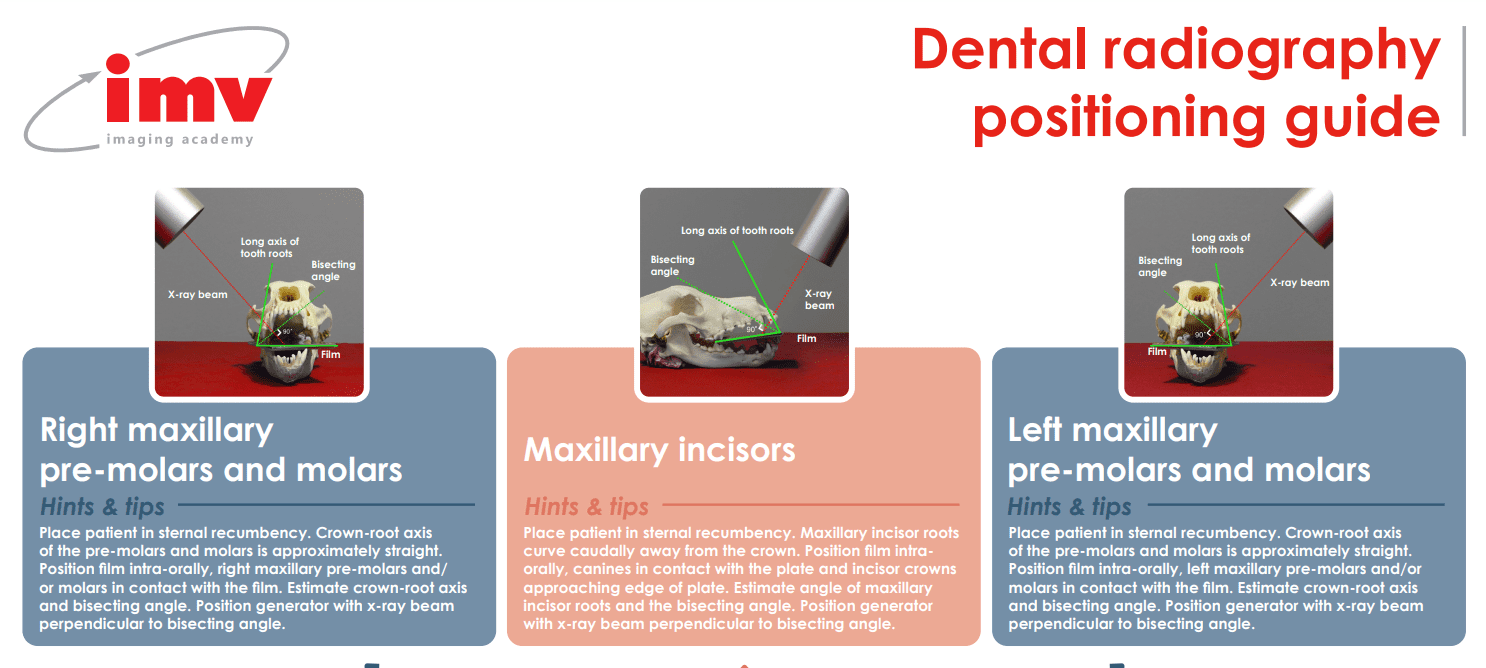 Dental Radiography Positioning Guide IMV Imaging