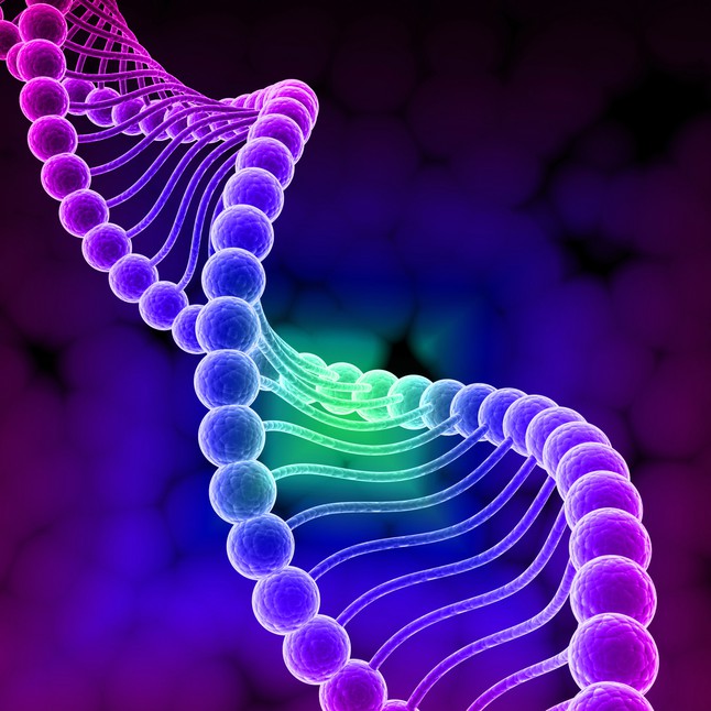 violet dna INLIGHTMENT