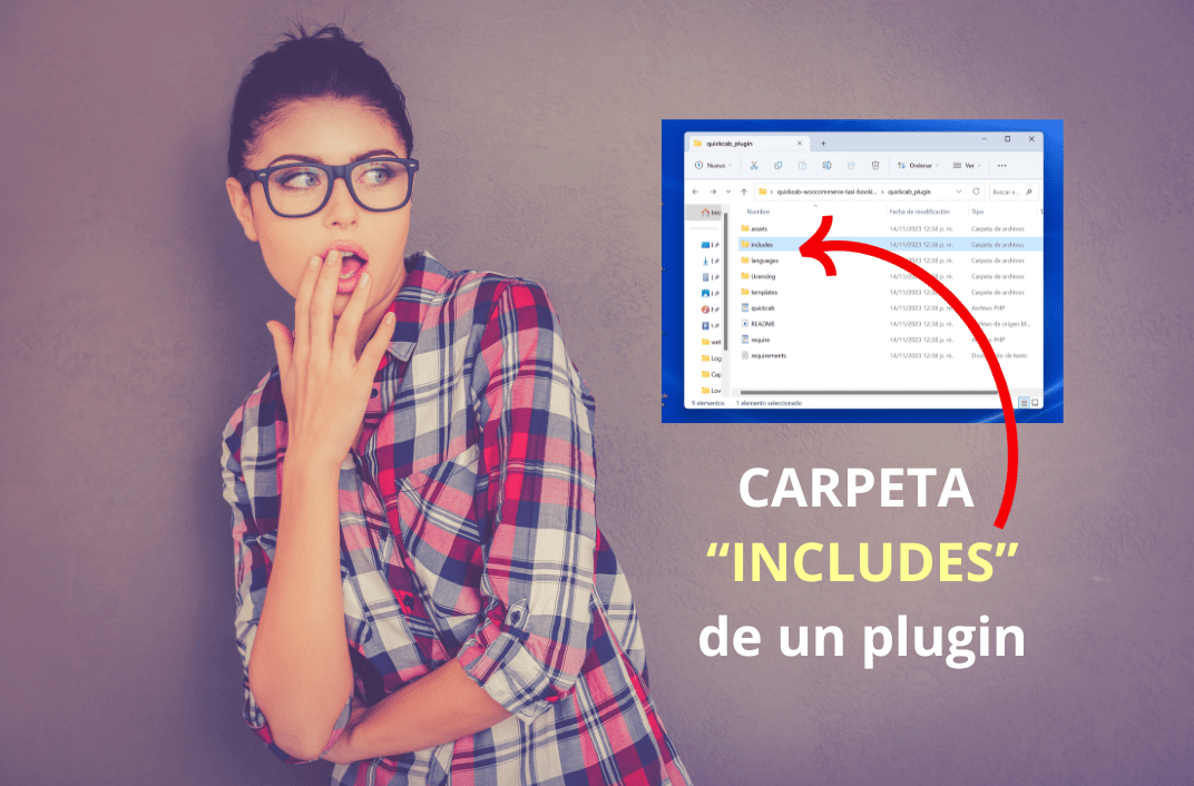 Qué es la Carpeta 'Includes' en Plugins de WordPress Soluciones Inába
