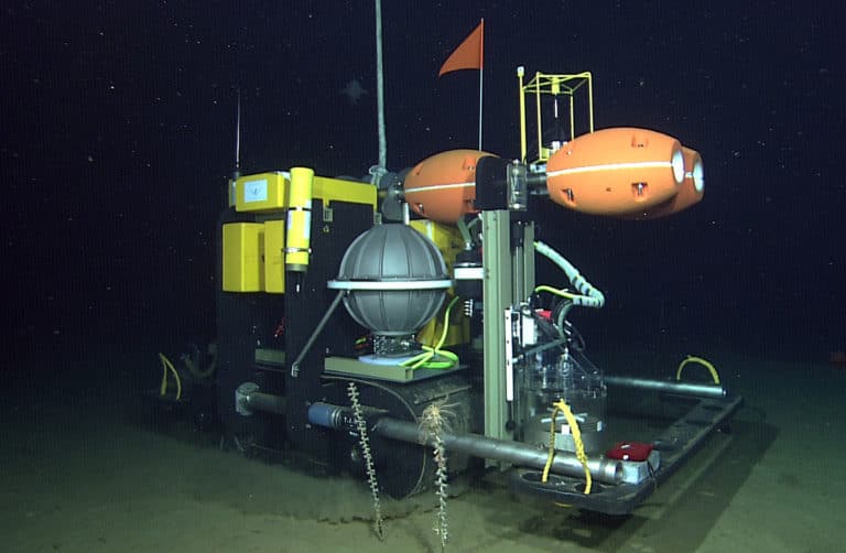 Autonomous deepsea rover provides new insight into life on abyssal