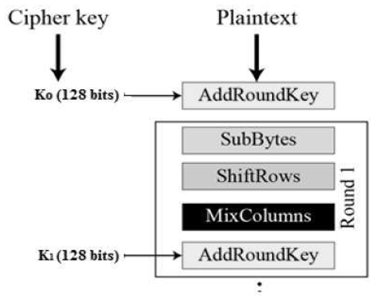 Advanced Encryption Standard (AES) in Cryptography