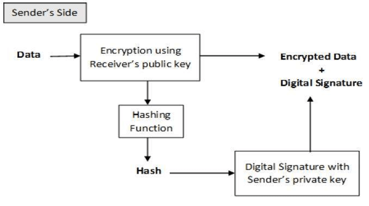 Digital Signature Algorithm (DSA) in Cryptography