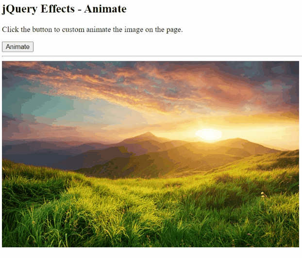 jQuery animate() Using Different Ways
