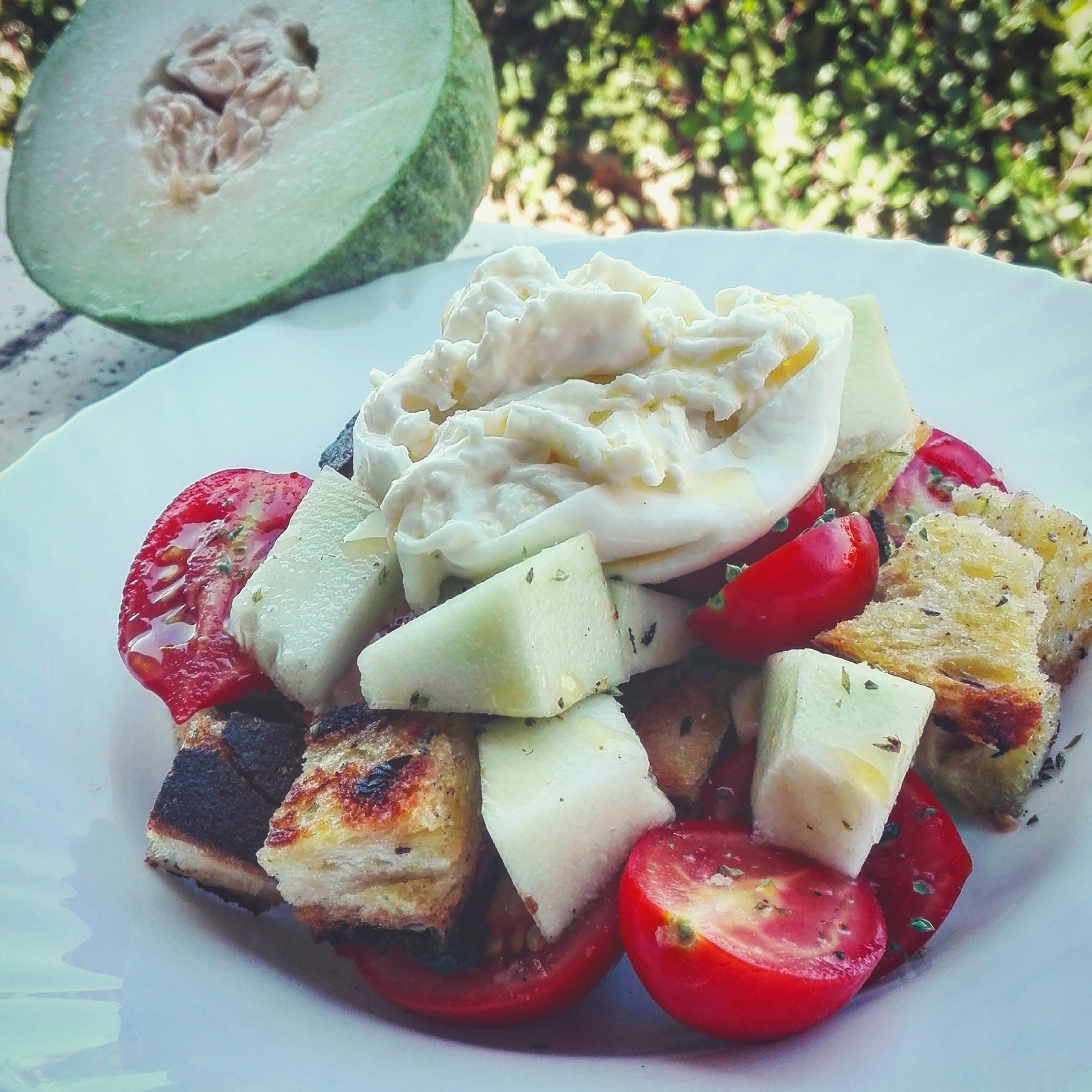 Insalata di cetriolo barattiere, pomodorini e pane speziato con burrata