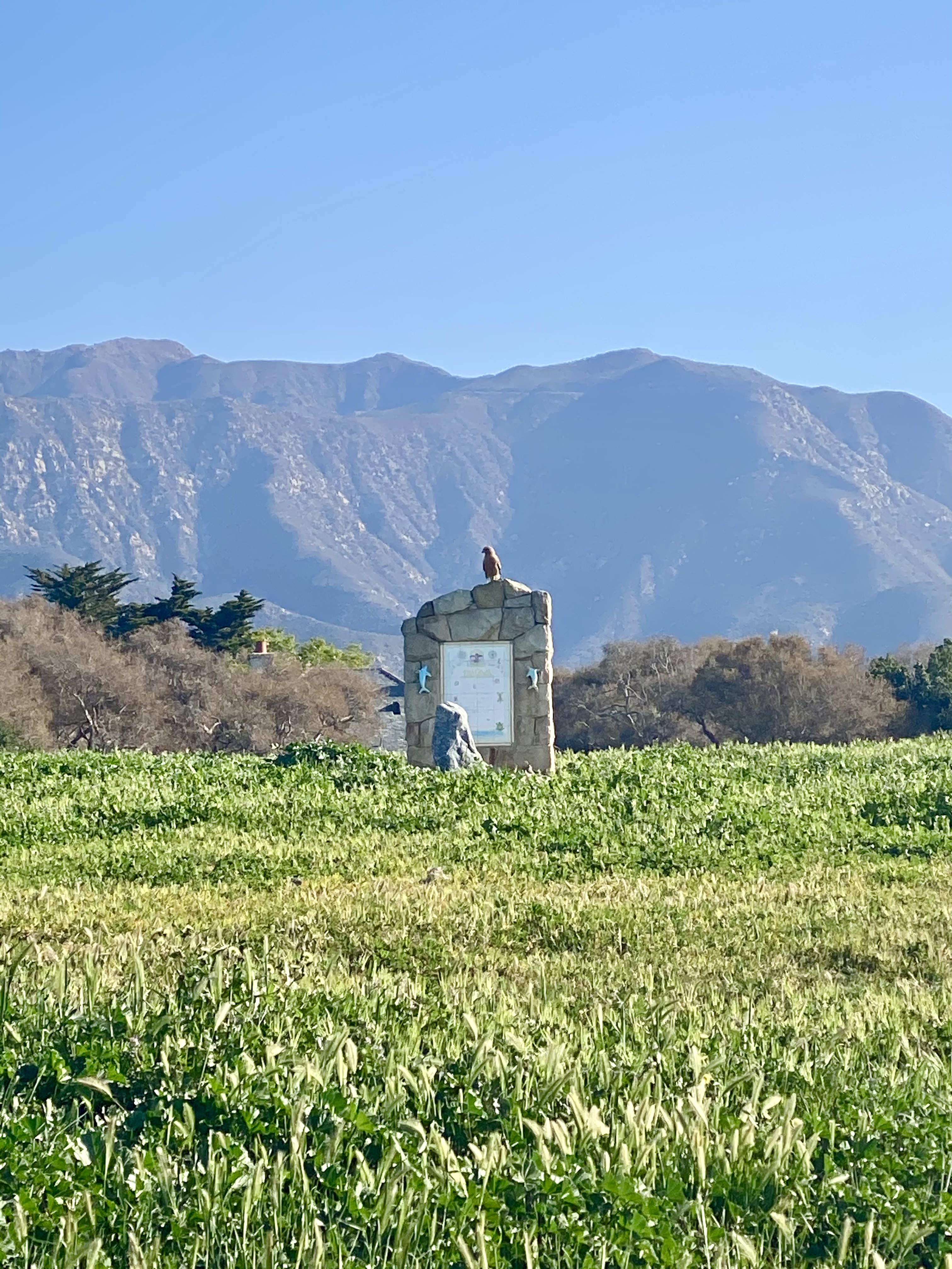 Is Hammond’s Meadow in Montecito Being Done Dirty? The Santa Barbara