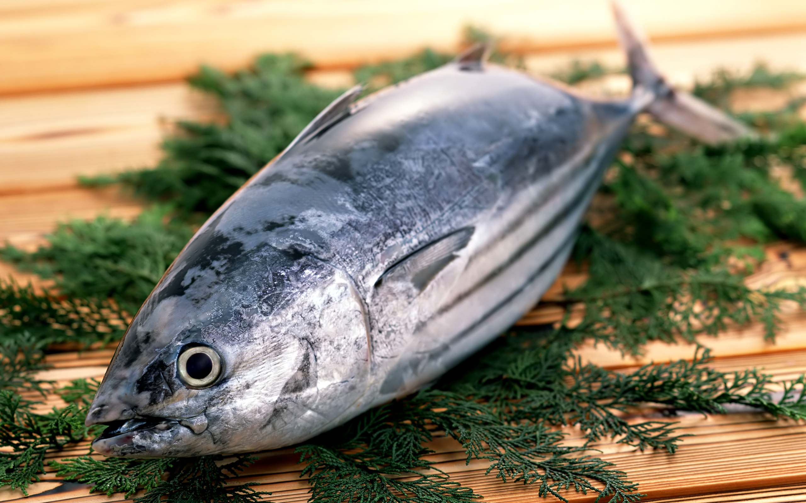 Best 5 Protein Enriched Fishes