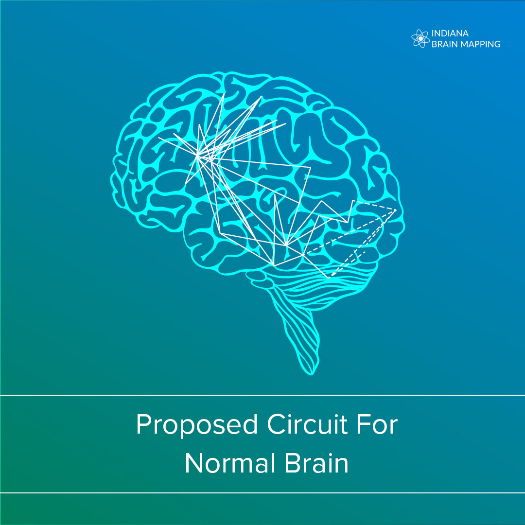 Proposed Circuit In Addiction Brain
