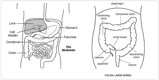 Best Colostomy Defunctioning Loop Surgery in India