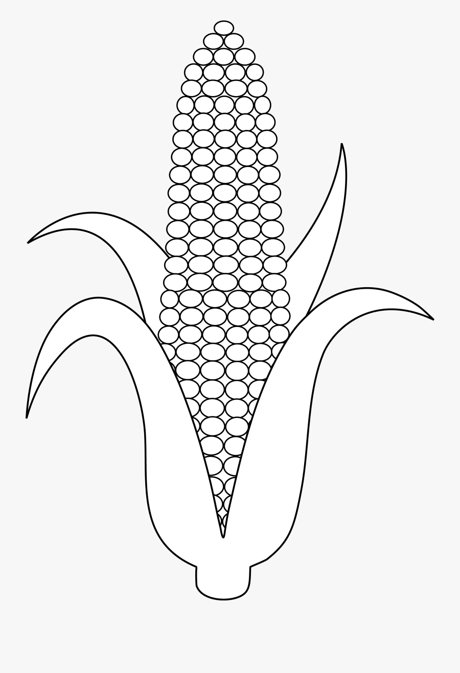 Coloring Pages Cornucopia Drawing Outline Corn Clipart Black And White