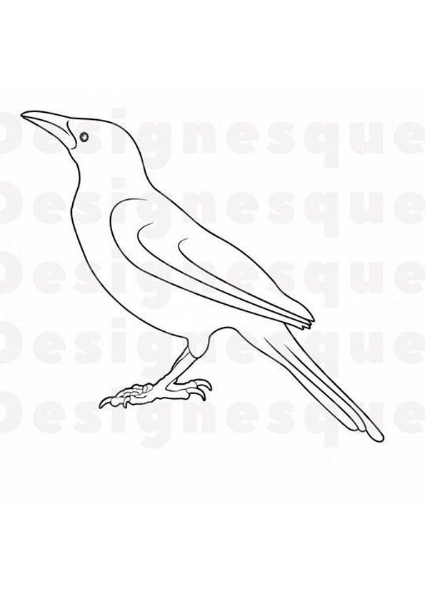 Coloring Pages Crow Coloring Page Preschool