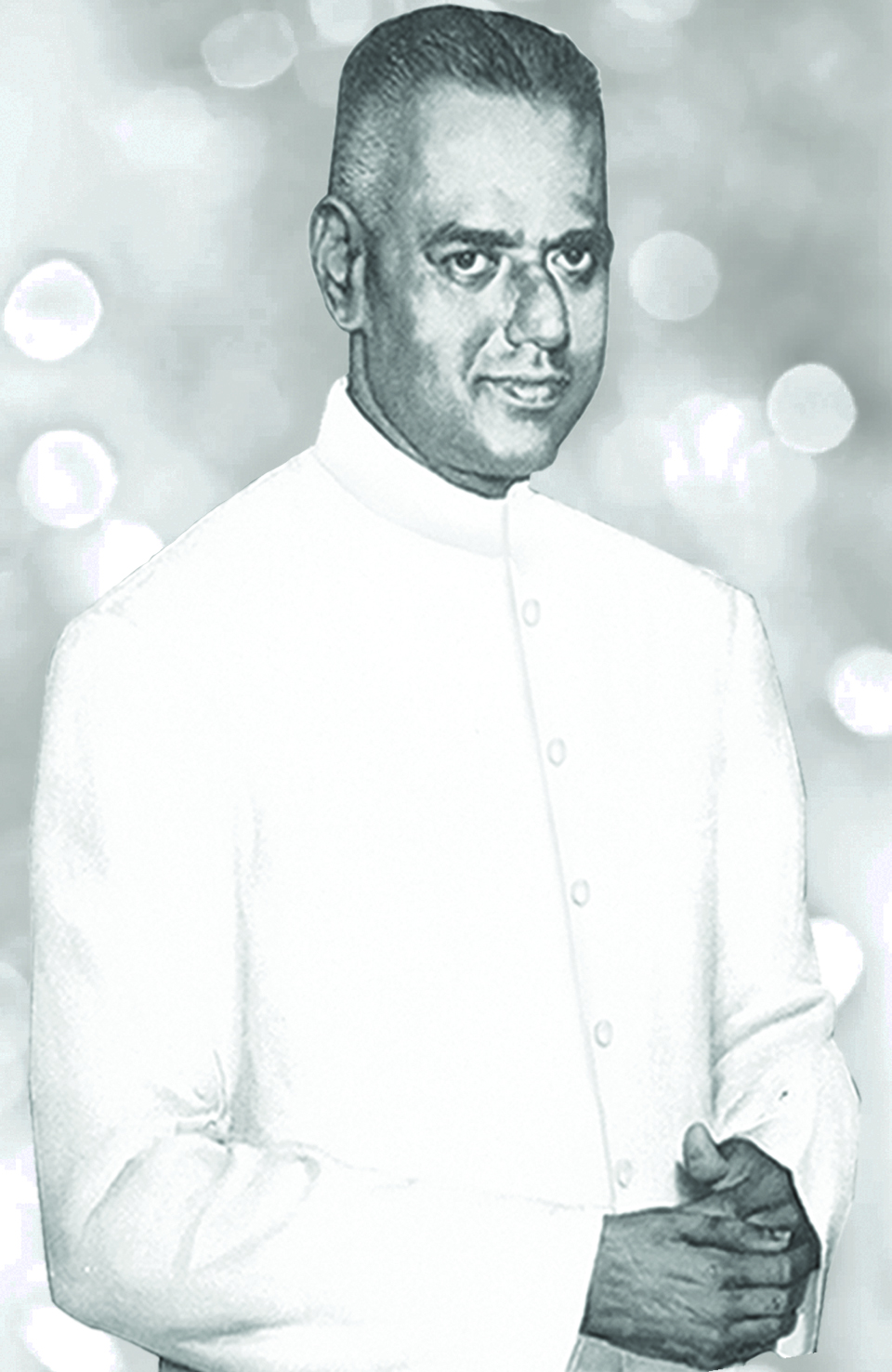 India Pistons Limited