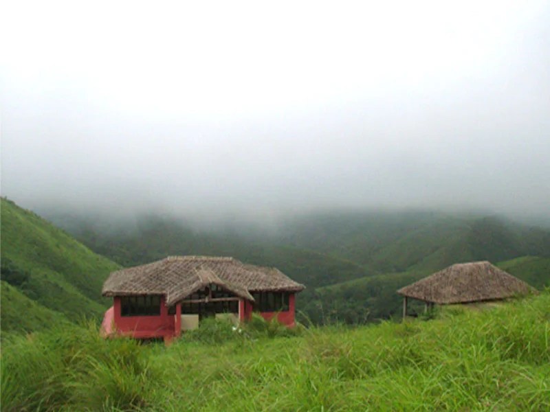Vagamon Resorts, Top Resorts in wagamon, Luxury wildlife resorts