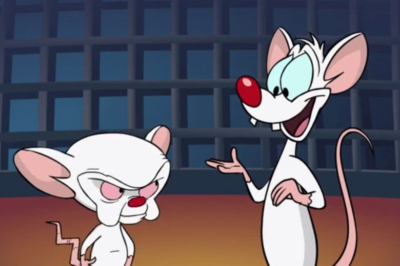 Pinky and the Brain Voice Actors Hint at a Reboot IndieWire