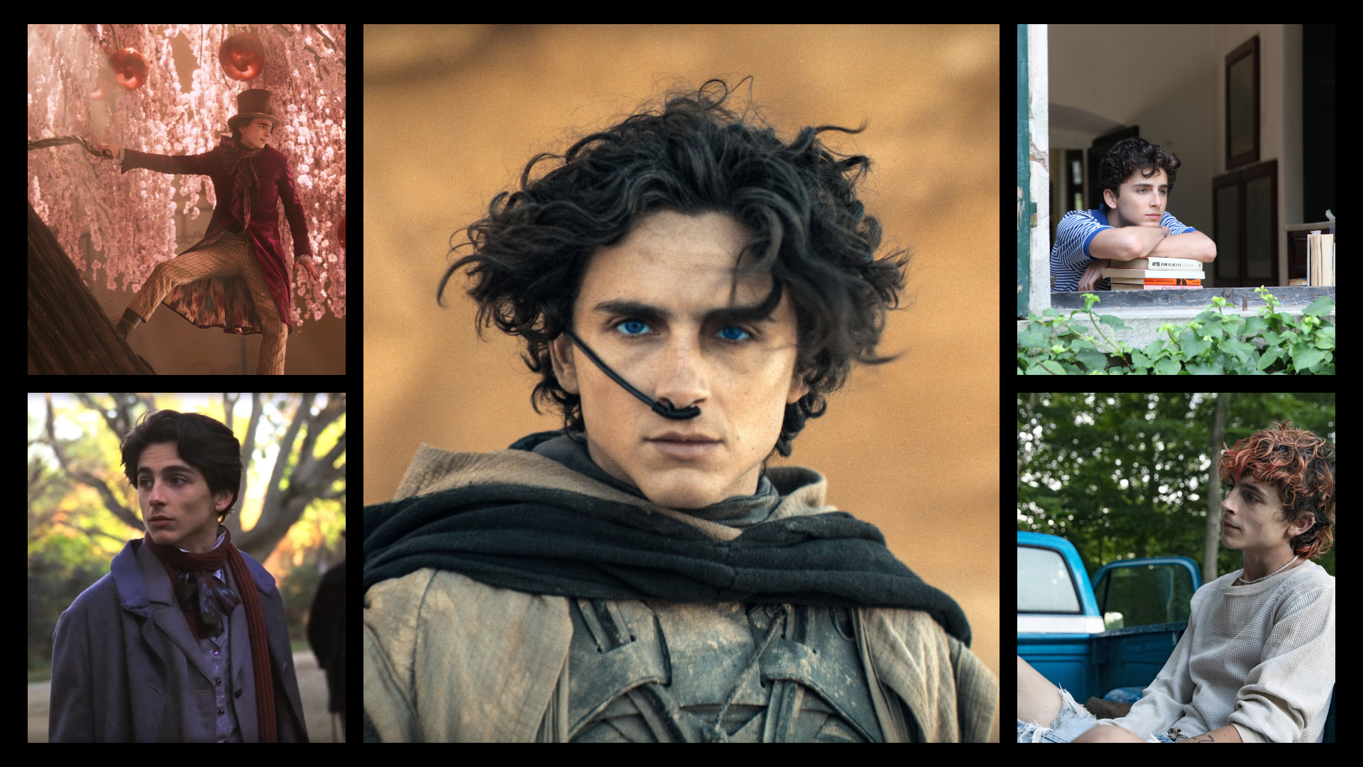 Best Timothe Chalamet Movies Wonka Dune Lady Bird And More