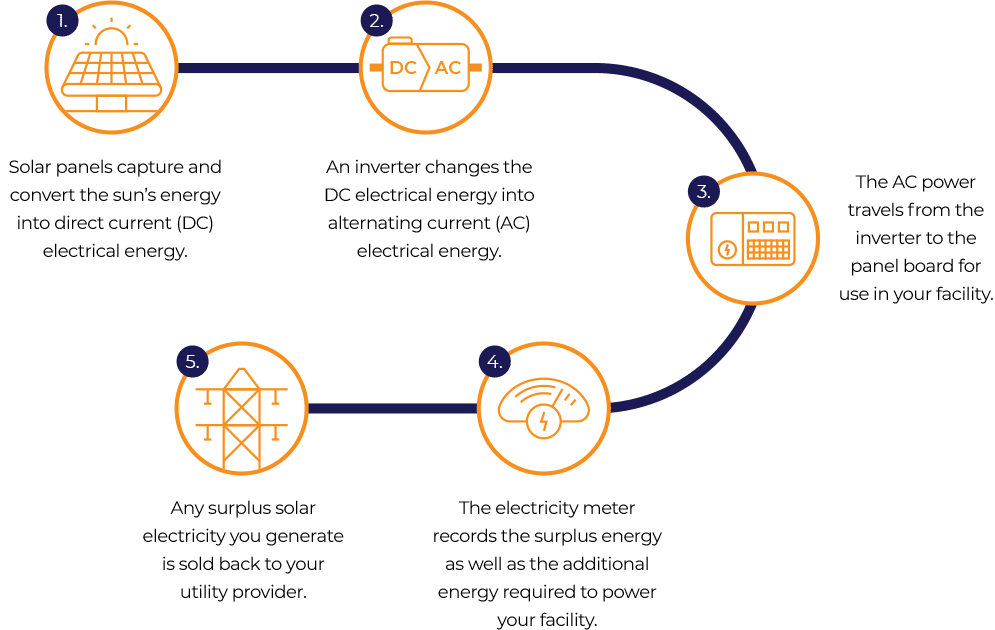 Solar Power and Energy Independence Indigo Energy®