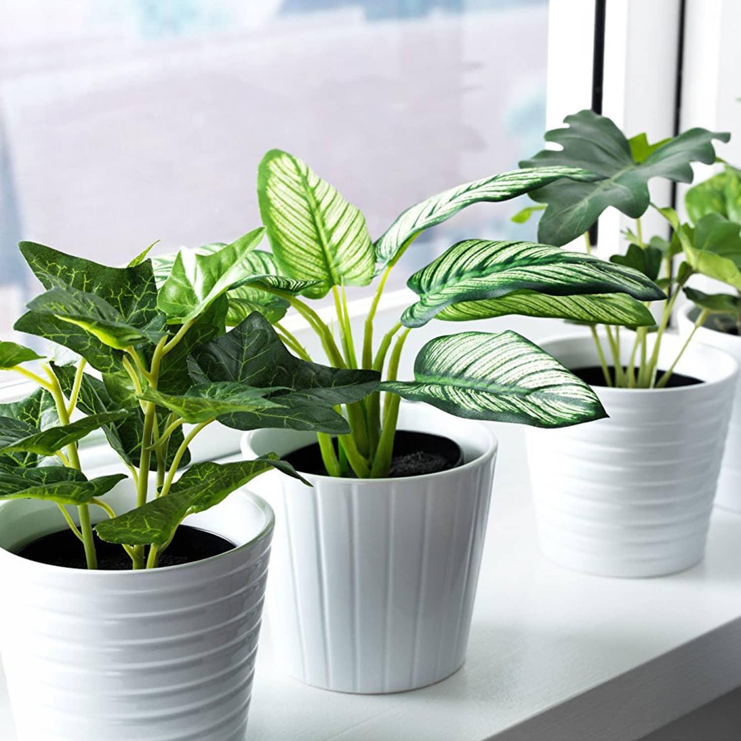 Why It’s Easier To Succeed With Faux Plants Than You Might Think