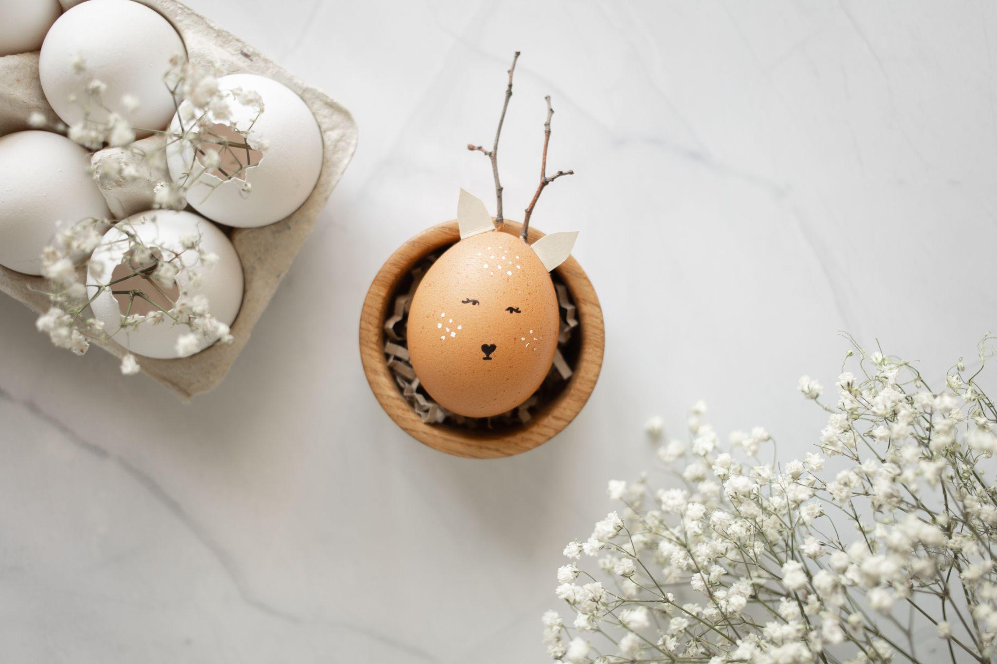 Eggshells For Indoor Plants The Ultimate Guide