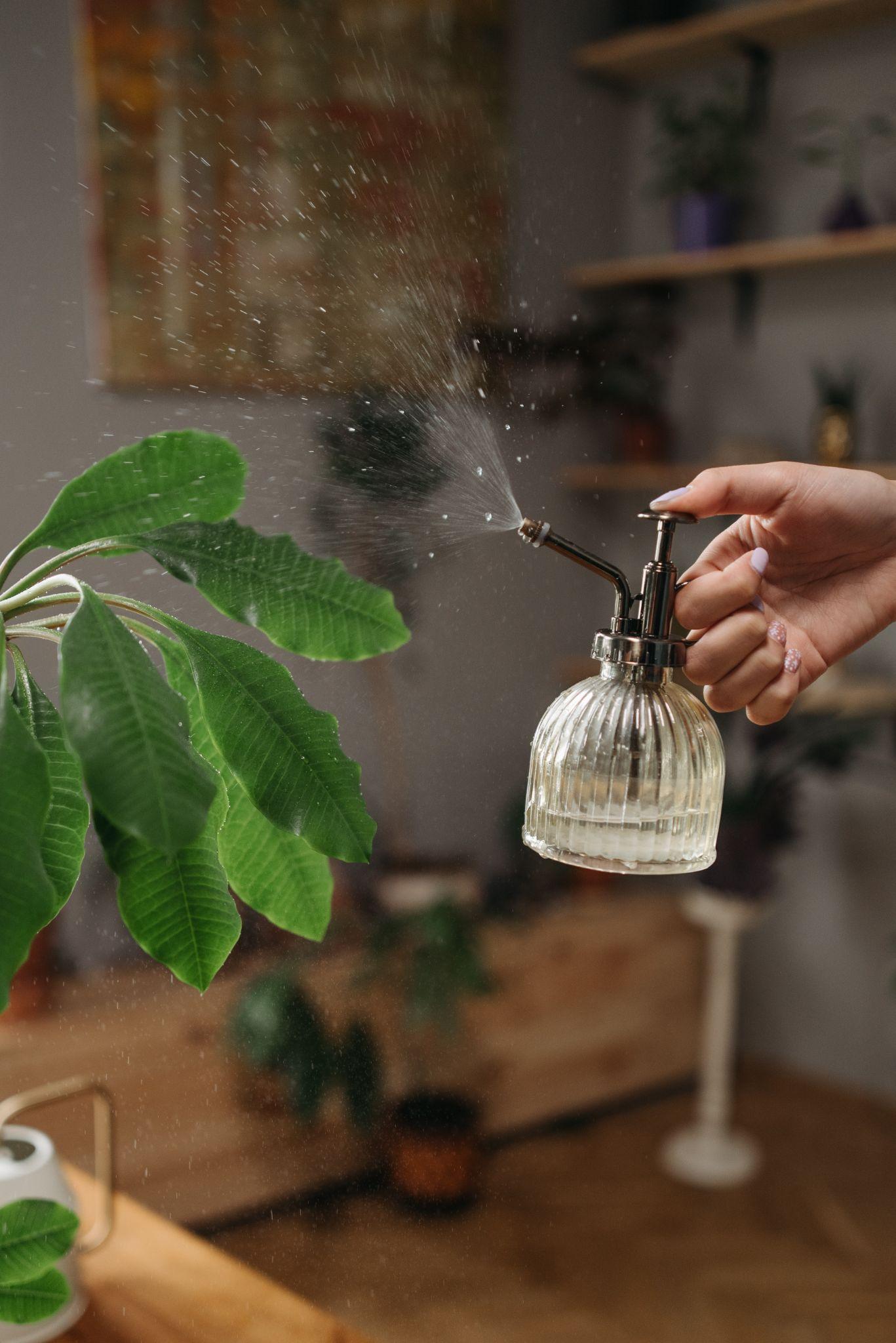 The Best Way To Clean Artificial Plants With Hairspray