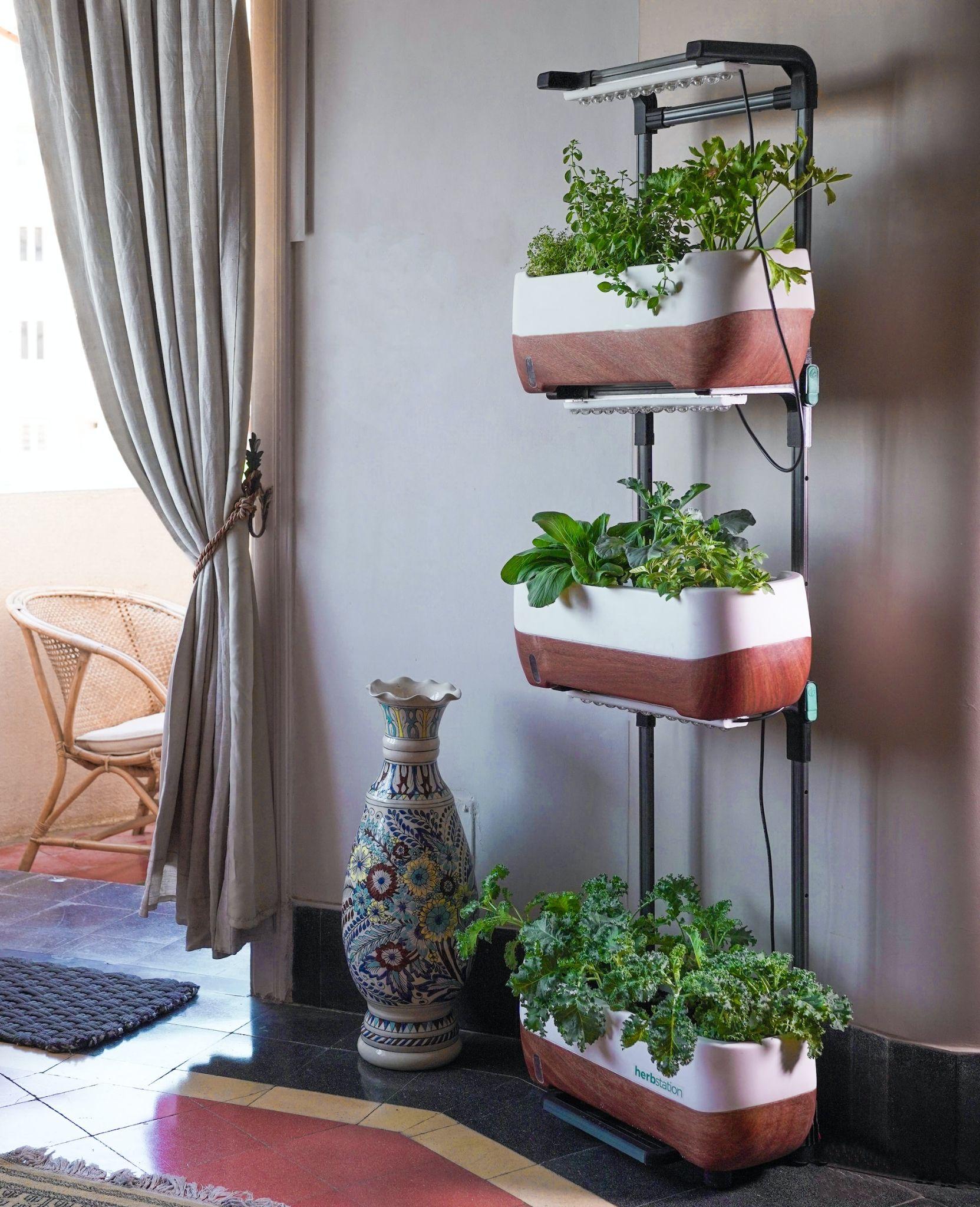 10 Unique Fence Hanging Planters for Your Herb Garden