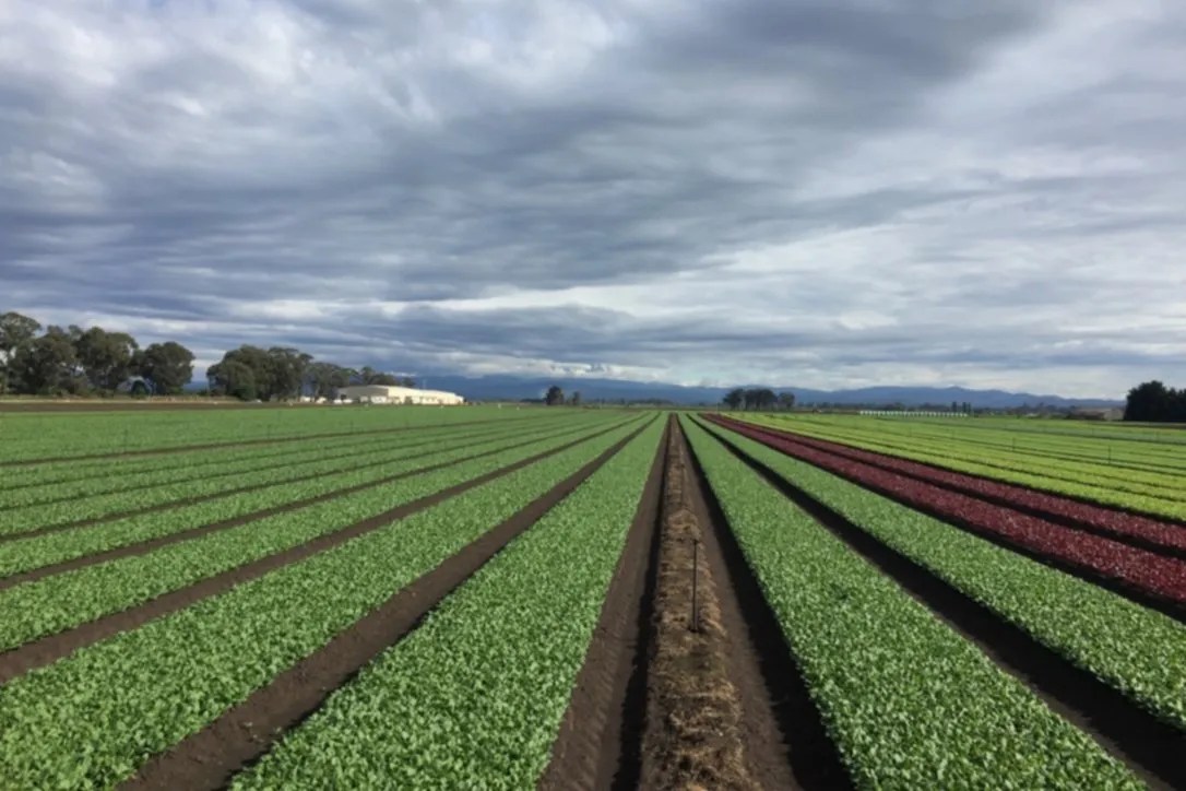 Customer stories Dicky Bill Farming