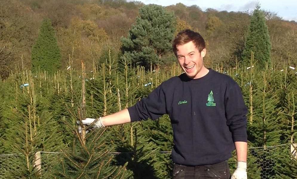 Christmas Tree Throwing Competition Launched in the UK Indulge