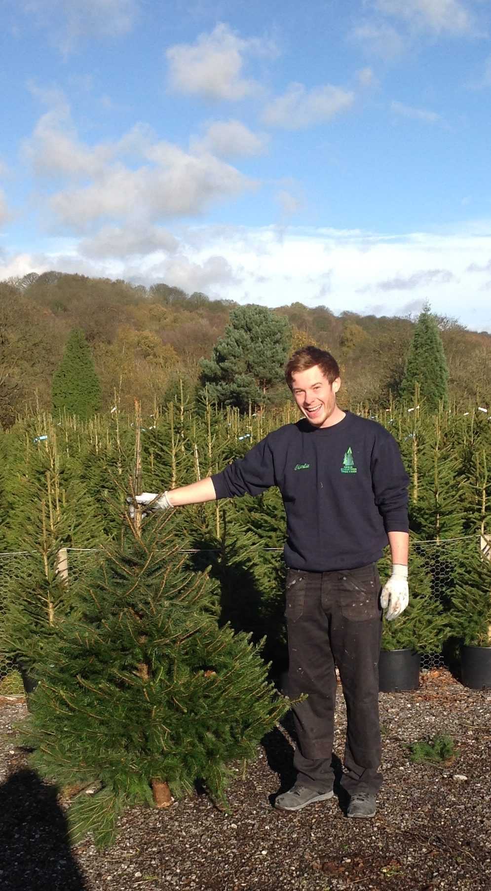 Christmas Tree Throwing Competition Launched in the UK Indulge