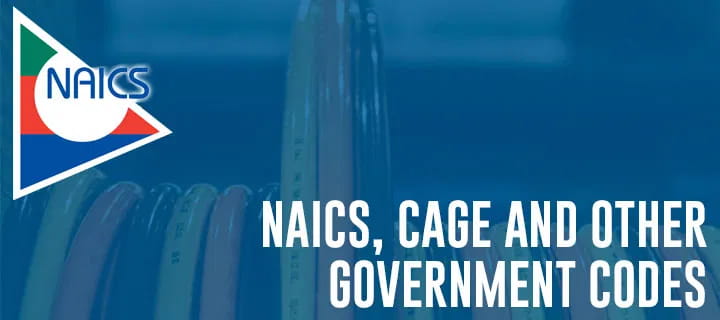 Governmental Services Information Industrial Light and Power