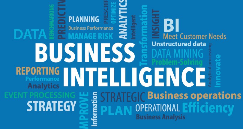 What does a Business Intelligence developer do?