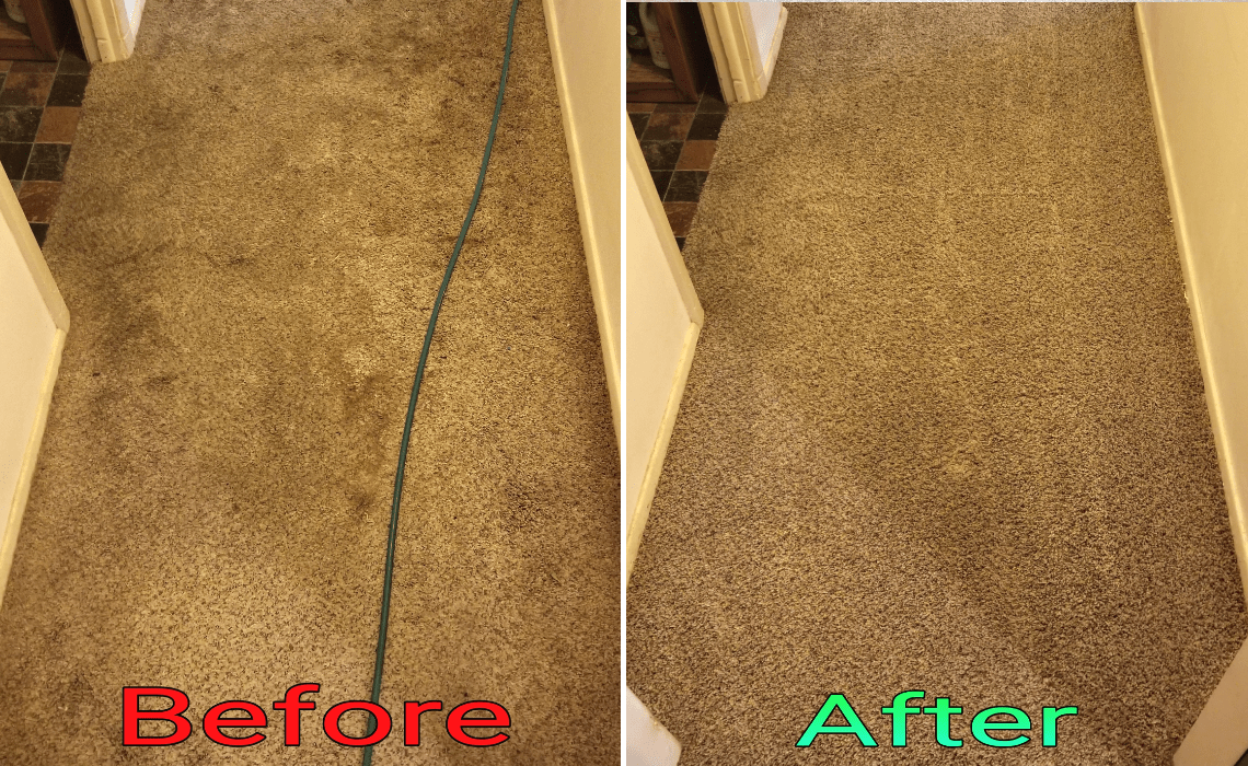 Steam Master Carpet Cleaning