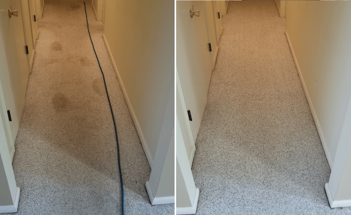 Steam Master Carpet Cleaning