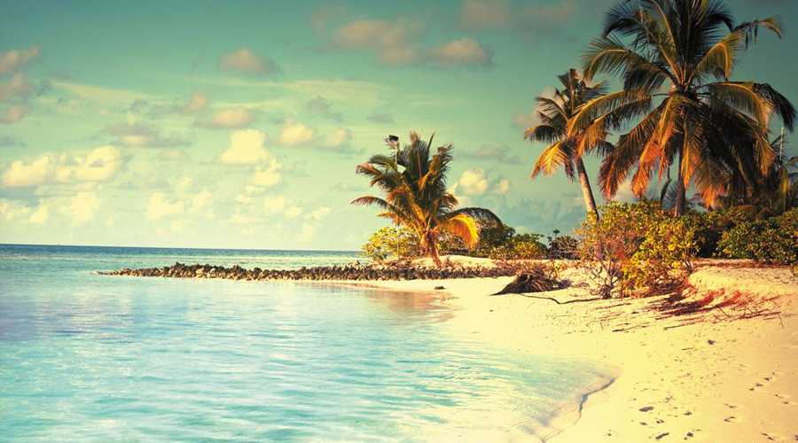 spring break 2023 ideas Spring Break Trips and Ideas Spring Break South Padre Inertia Tours