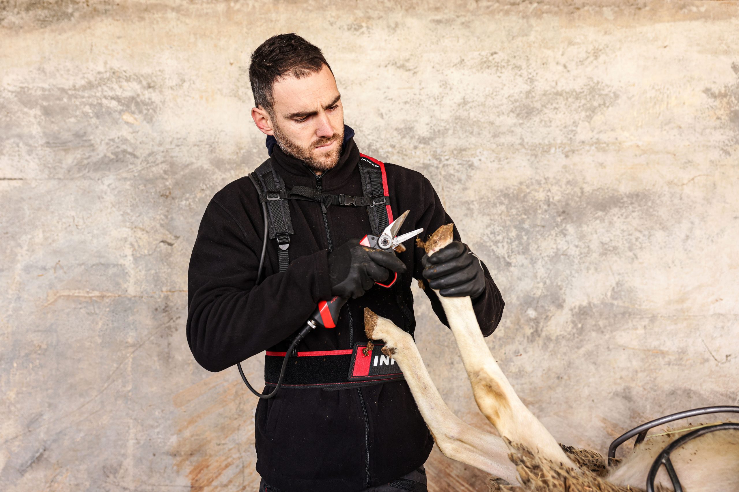 Hoof trimmer F3020 photos Infaco