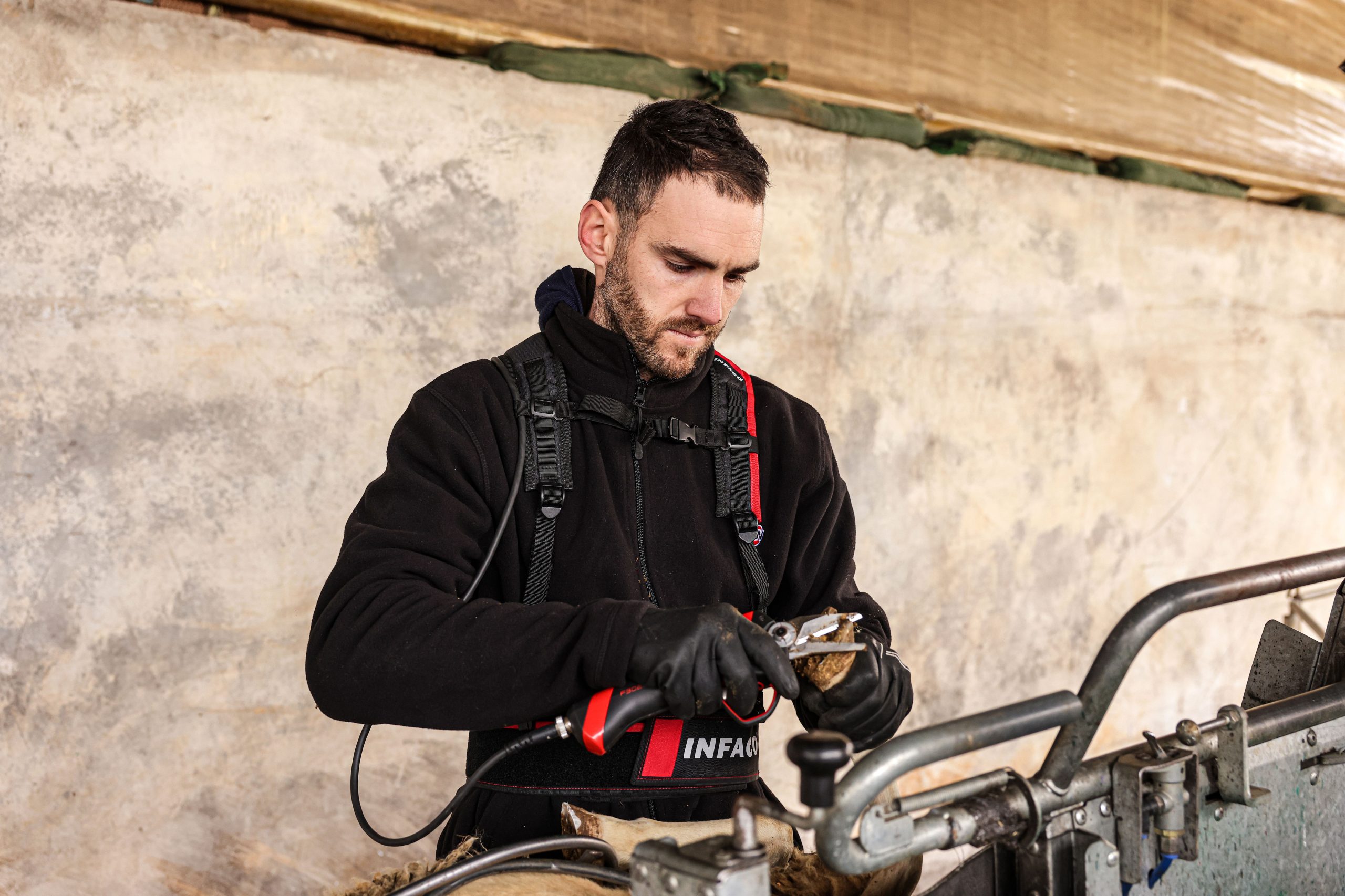 Hoof trimmer F3020 photos Infaco