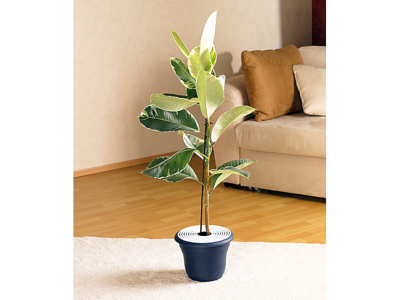 infactory BlumentopfSchutzgitter, schwarz, 10 Stück, 6 bis 24 cm