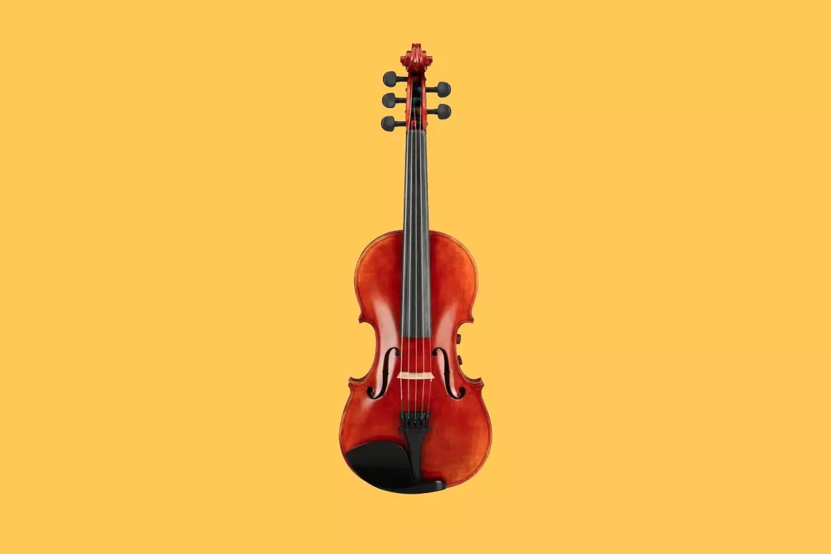 The Essential Violin Types Guide What Are The Different Types?